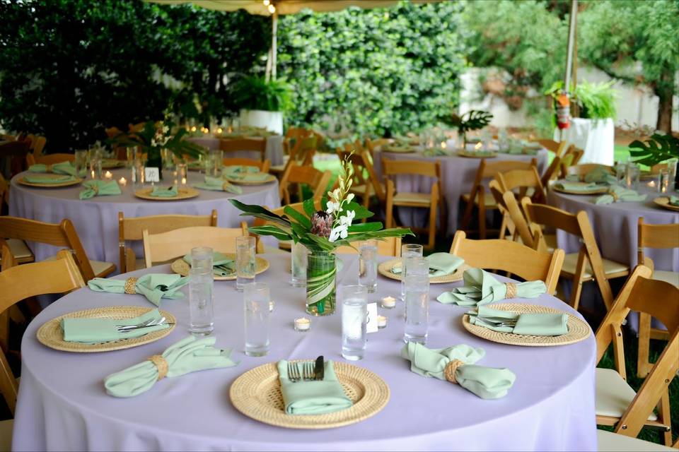 Tropical Soiree
