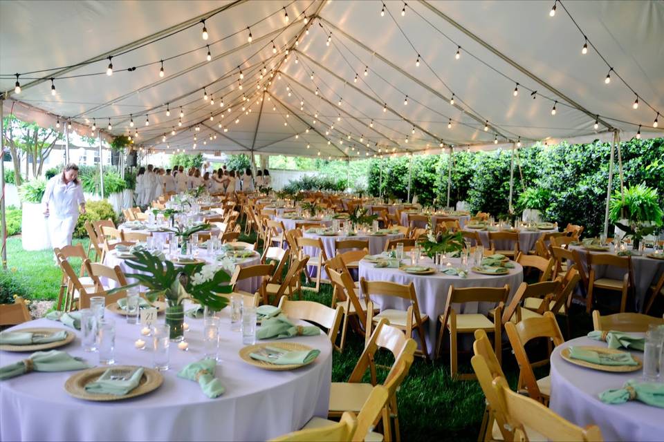 Tropical Soiree