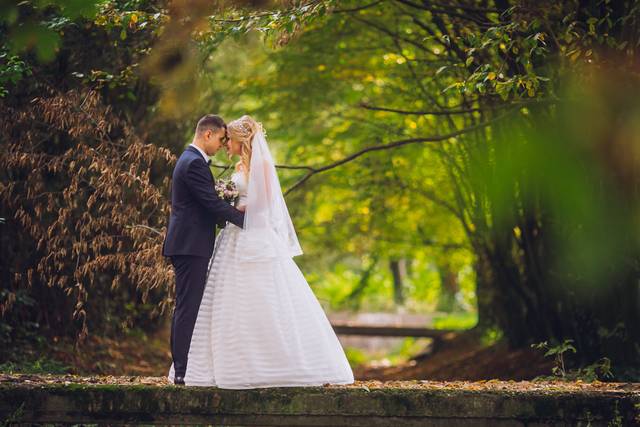 Forest fantasy