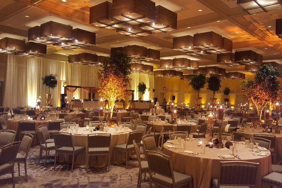 Ballroom greenery