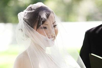 Van T Tran Photography