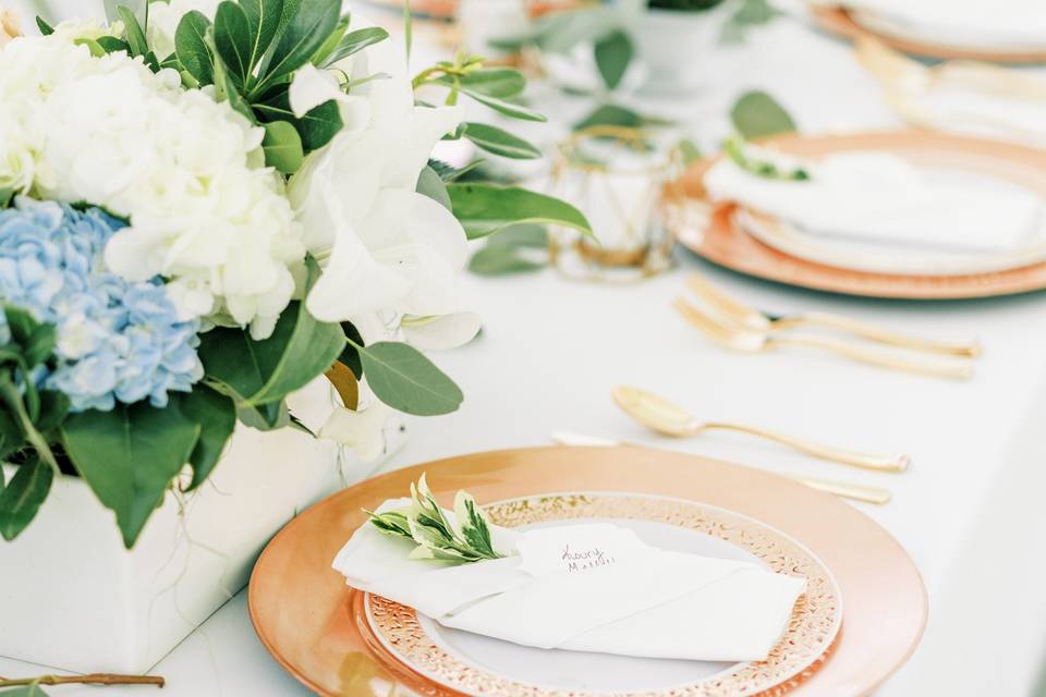 Pinnacle Weddings Planning