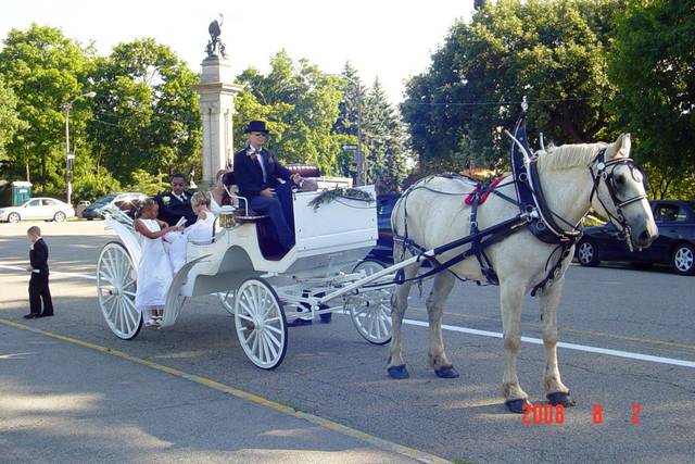 White horse and carriage