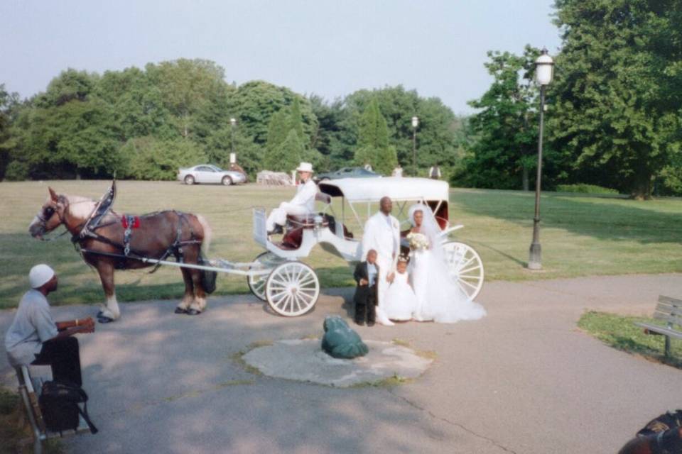 Beautiful bride and groom