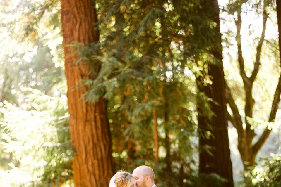 Santa Cruz Redwoods Wedding