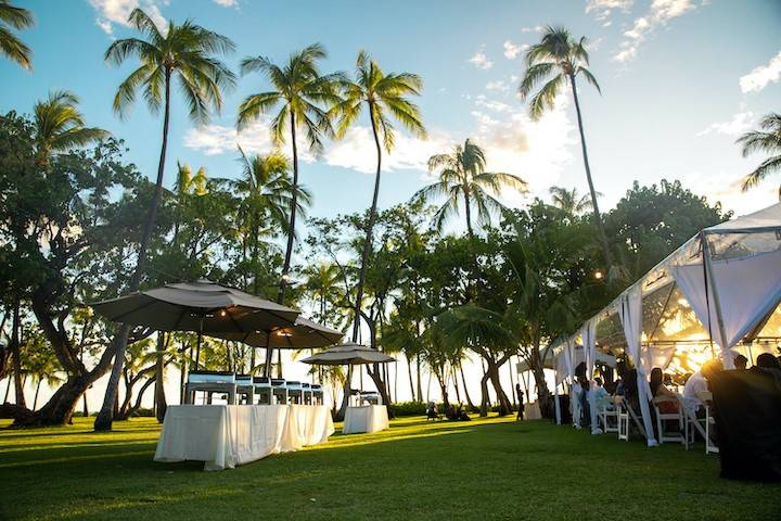 Buffet Line Set-Up