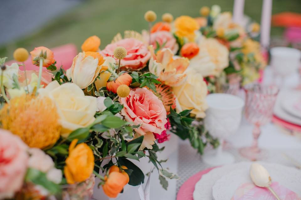 Colorful flowers