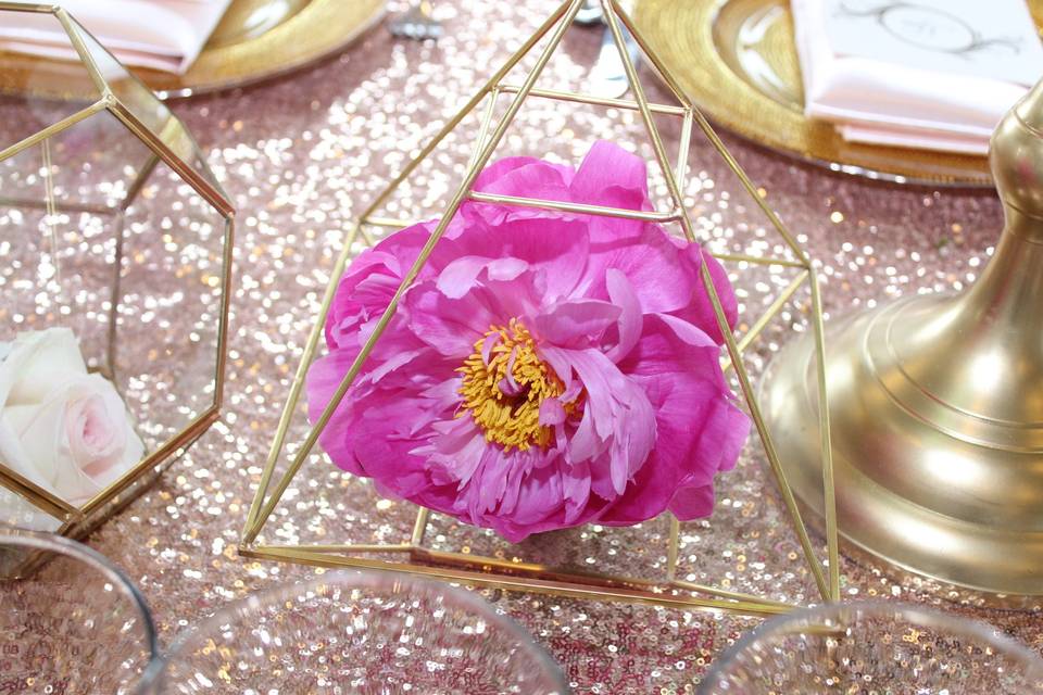 TIMELESS CREATIONS EVENTS & DESIGNS