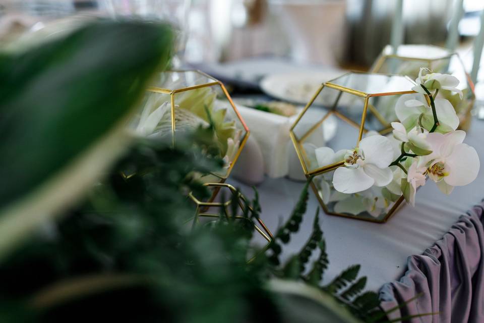 TIMELESS CREATIONS EVENTS & DESIGNS