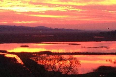 Sunrise on the ranch