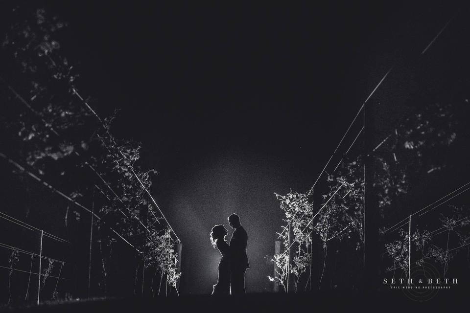 Newlyweds in the vineyard