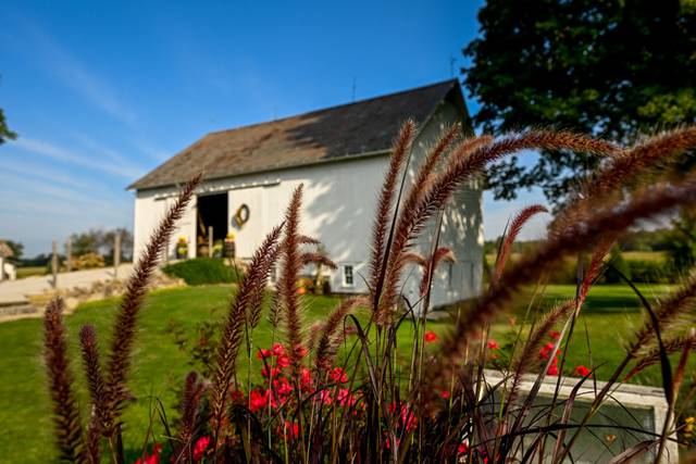 The Barnstone