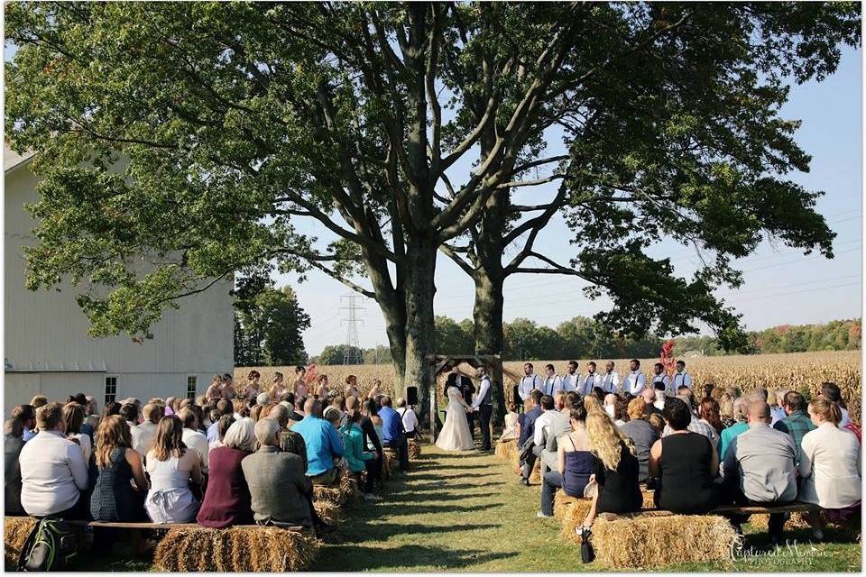 Wedding ceremony