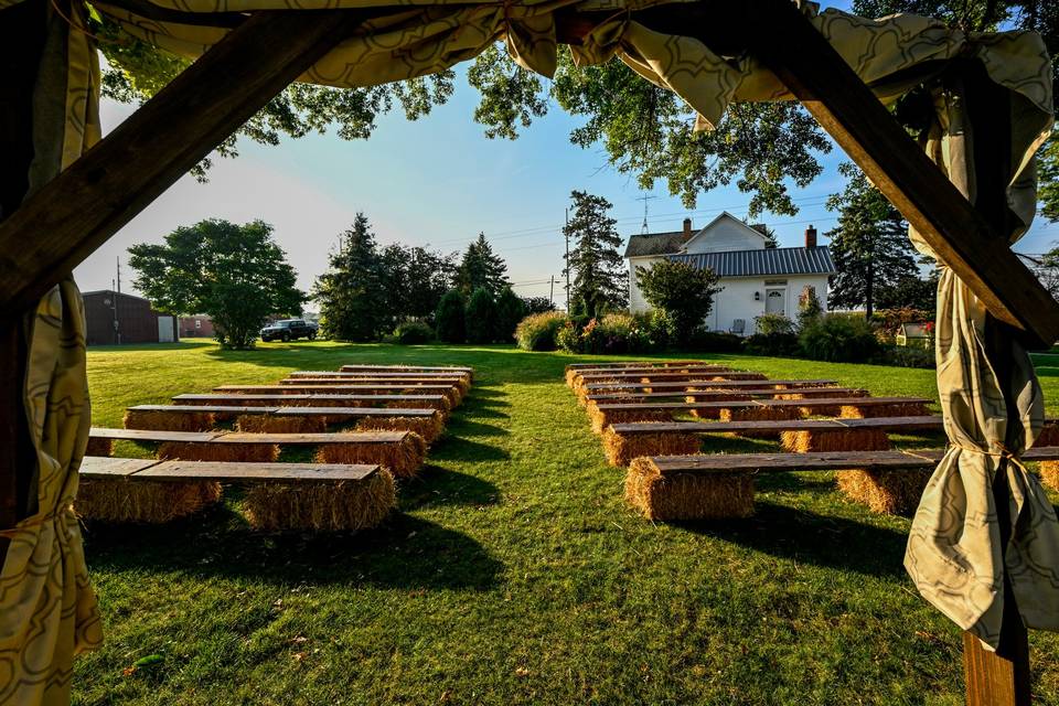 Under the wedding arch