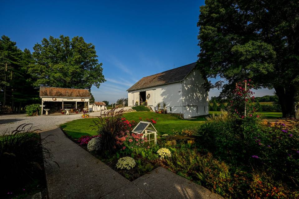 Reception Barn and Carriage