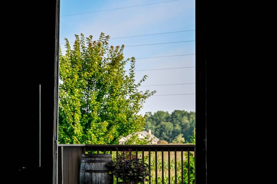 Thru the Barn