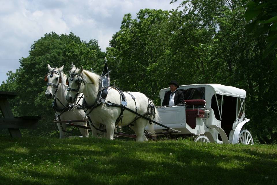 Wedding carriage