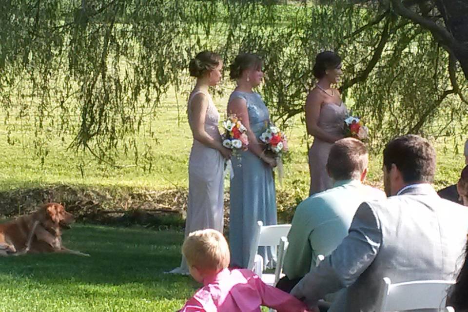 Ostertag Vistas farm ceremony