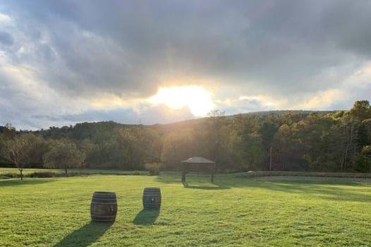 The Meadow Close to Sunset