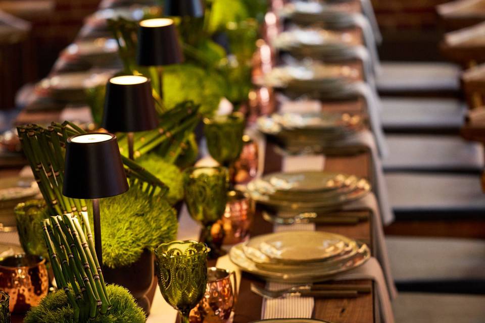 Party Rental Ltd.