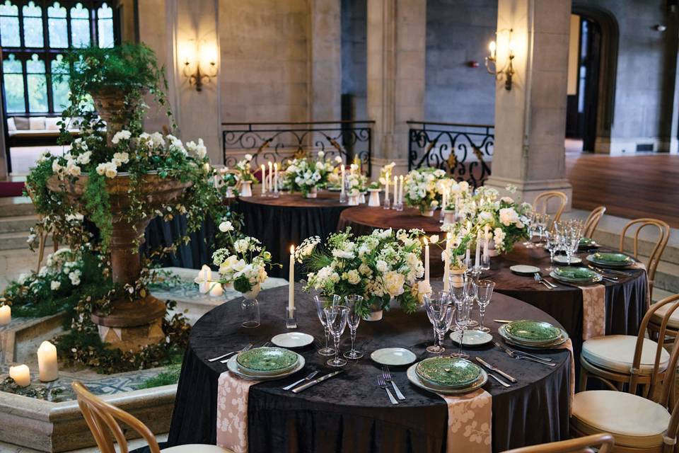 Party Rental Ltd.