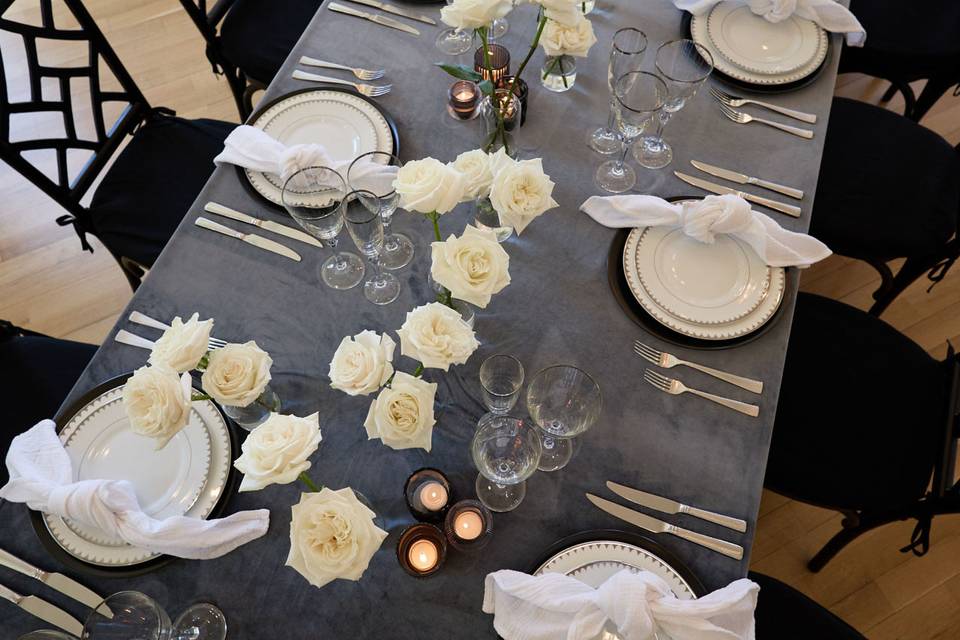 Party Rental Ltd.