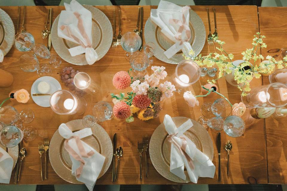 Party Rental Ltd.