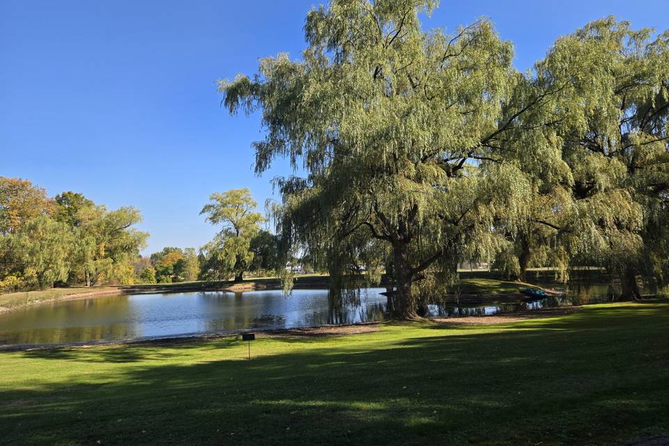 The Pond