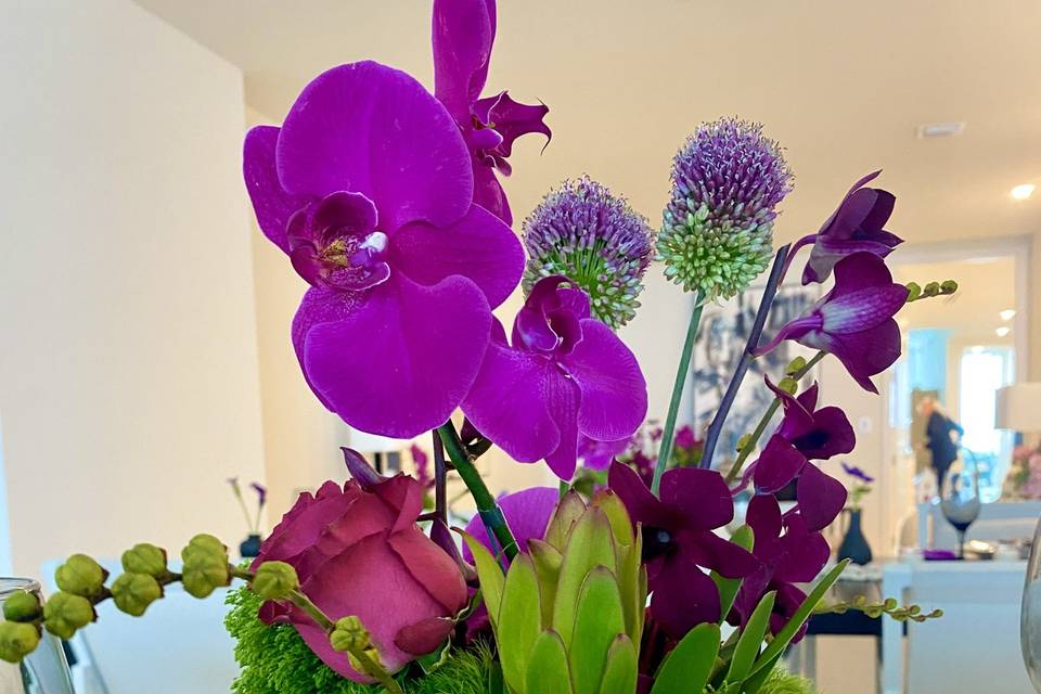 Vibrant orchid celebration