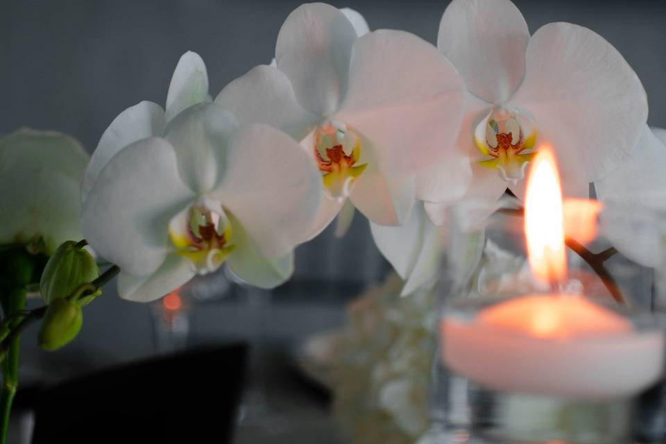 Elegant orchids and candles