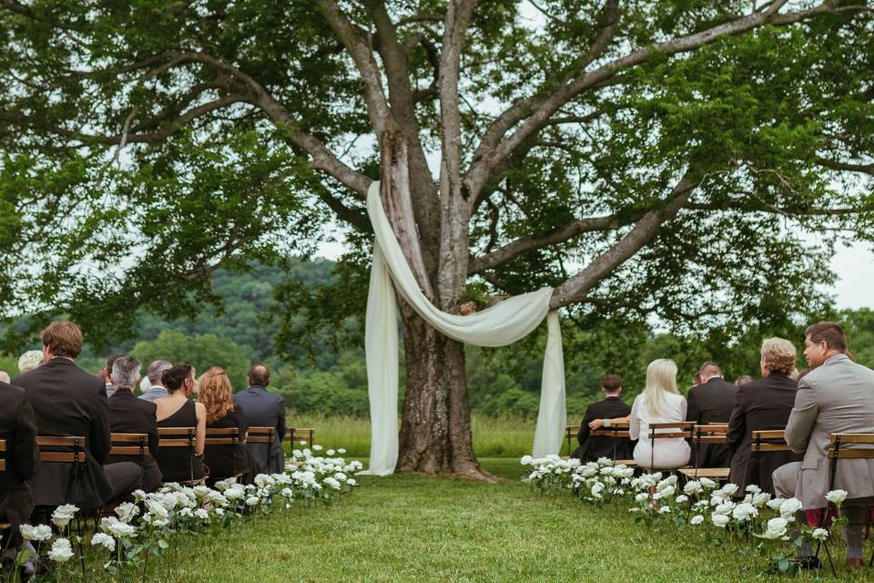 Meadow Tree Ceremony
