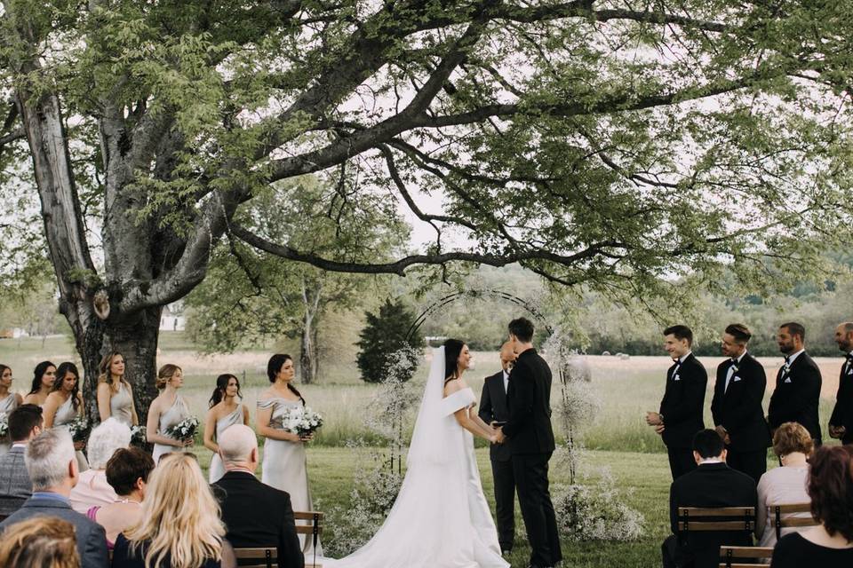 Tree Ceremony