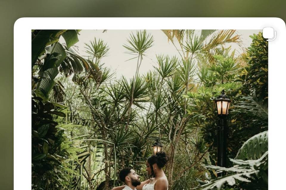 Bride Grand Hyatt Rio Grande