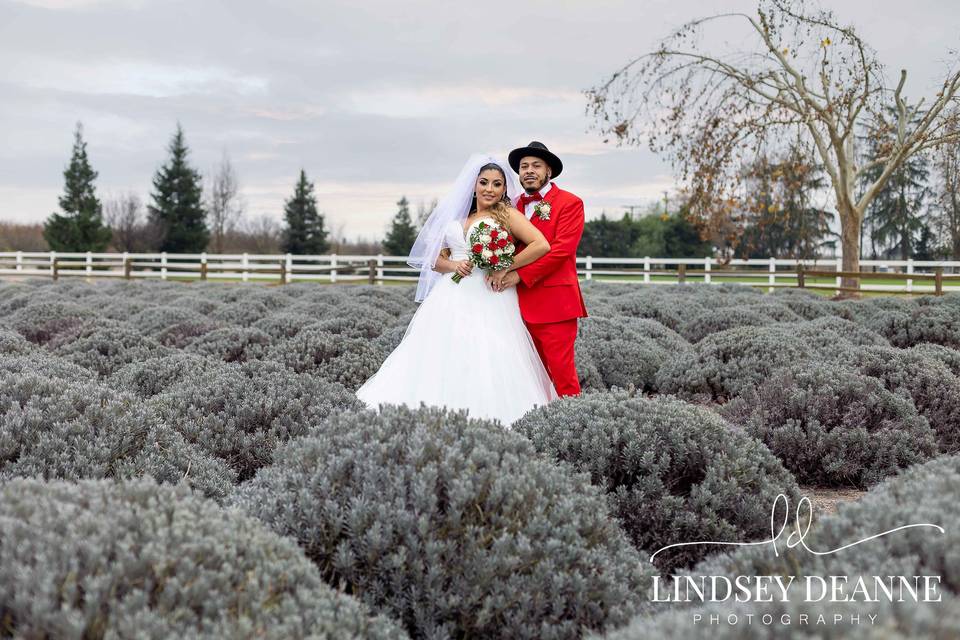 Lavender Farm Wedding