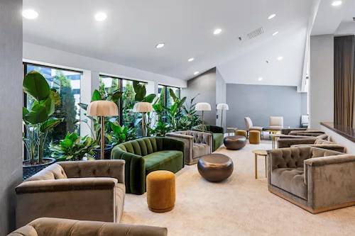 Bar Lounge