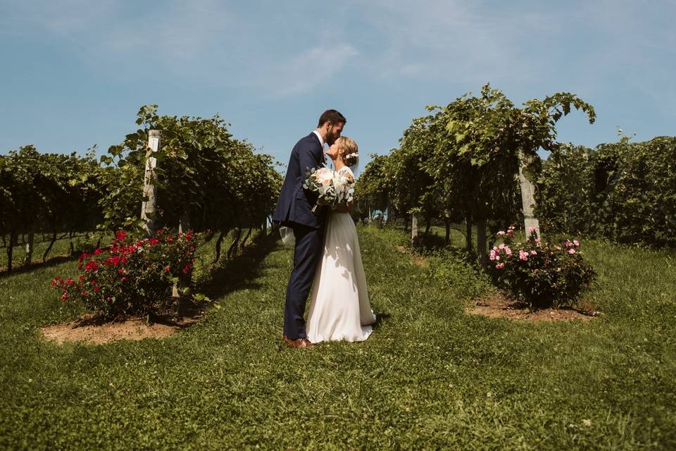 Couples Portrait In Vineyard