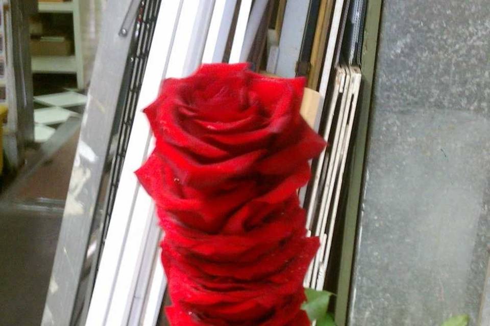Stack of roses