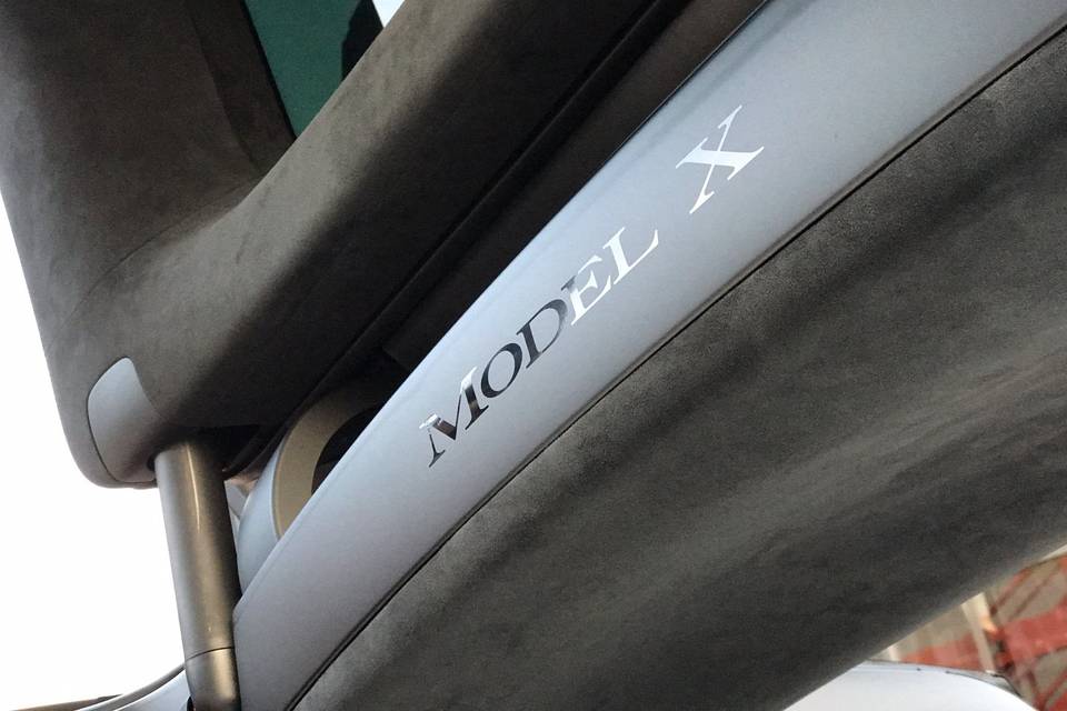 Model X Tours