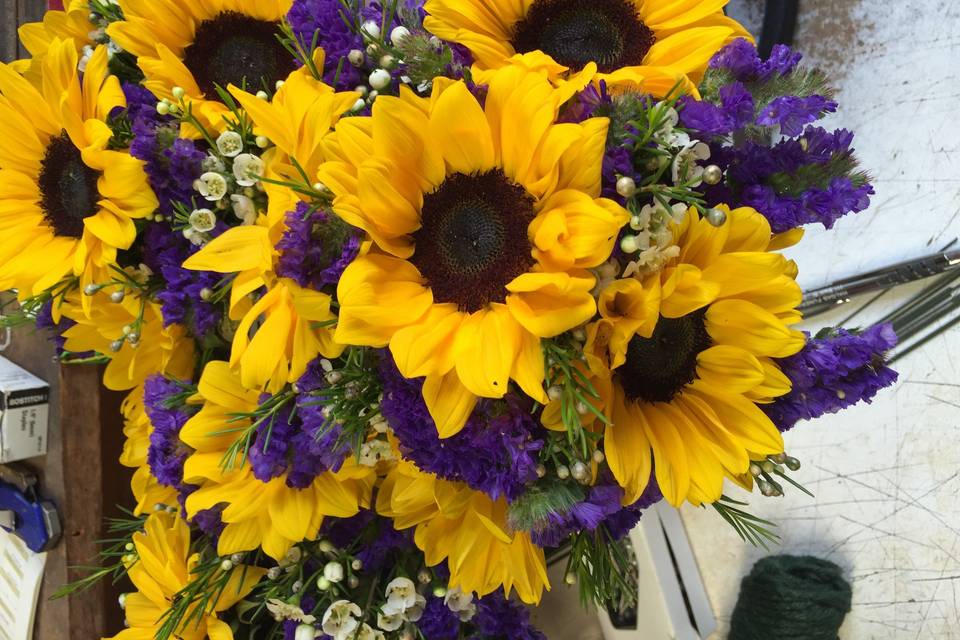 Sacandaga Flowers