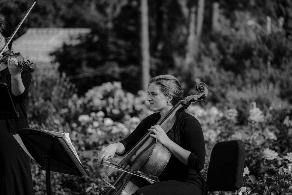 String Quartet at ceremony