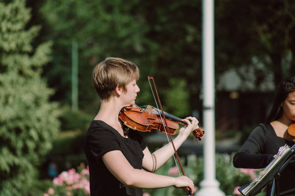 String Quartet at ceremony