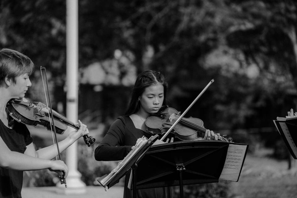 String Quartet at ceremony