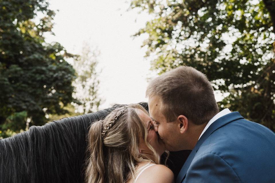 Horse bridal portraits