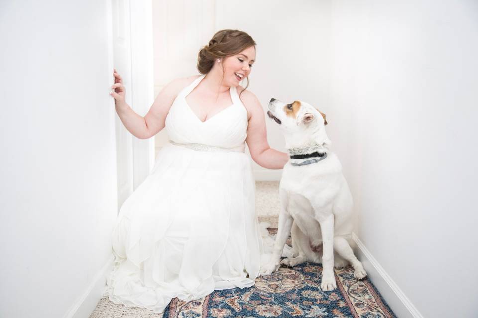 Pet portraits with the bride