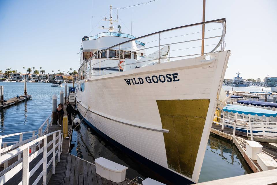 Wild Goose at the Dock!