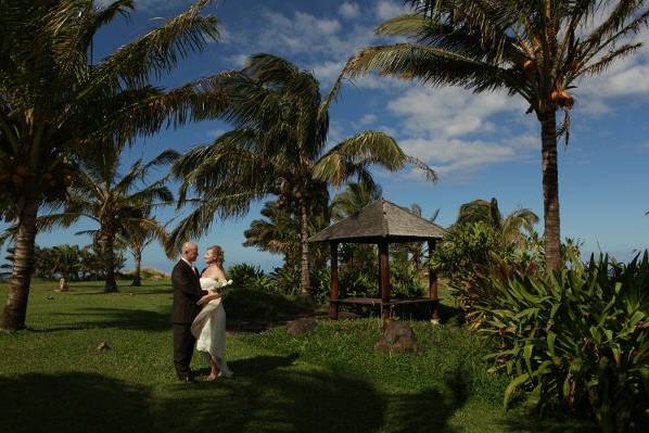 Scenic Hawaii Weddings