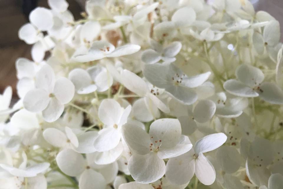 White flowers