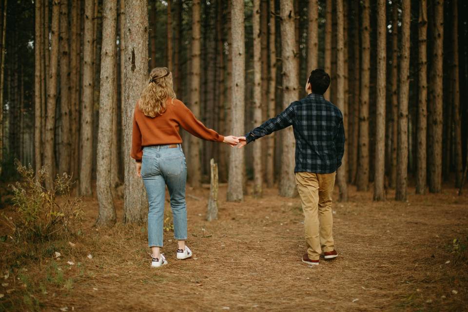 Forest engagement