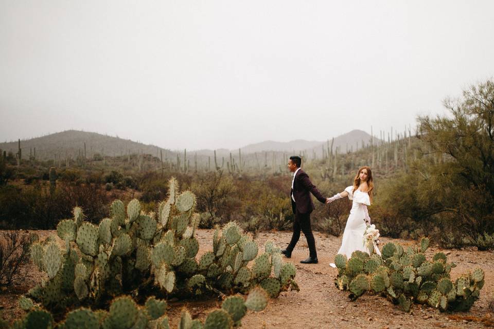 Desert wedding portraits