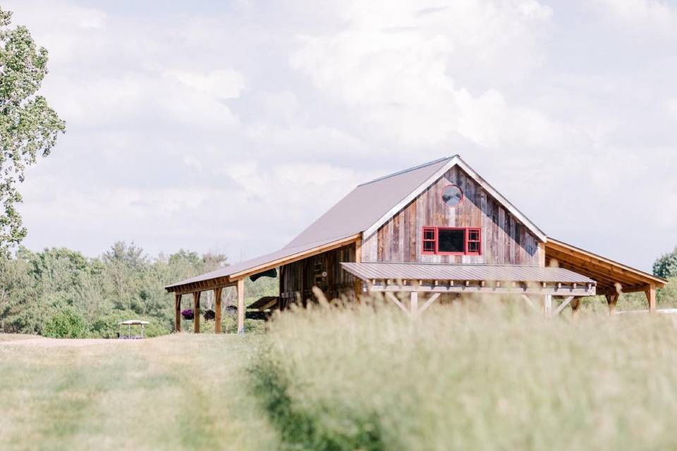 Tall Grass Fields